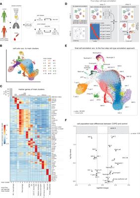 Alveolar macrophages in early stage COPD show functional deviations with properties of impaired immune activation